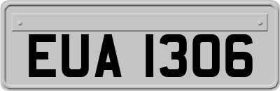 EUA1306