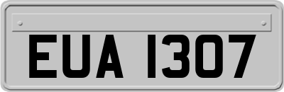 EUA1307