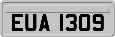 EUA1309