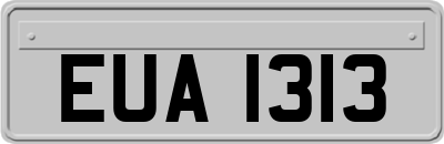 EUA1313