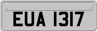 EUA1317