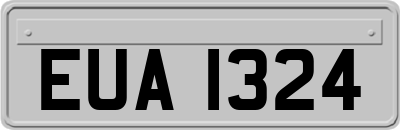 EUA1324