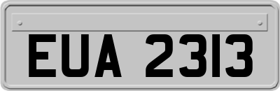 EUA2313