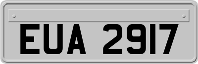 EUA2917