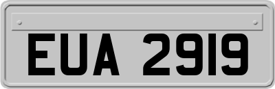 EUA2919