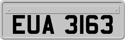 EUA3163