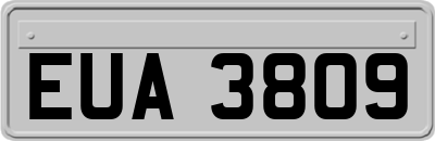 EUA3809