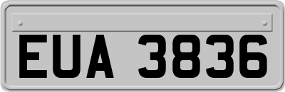 EUA3836