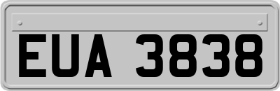 EUA3838