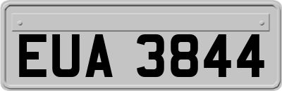 EUA3844