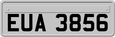 EUA3856
