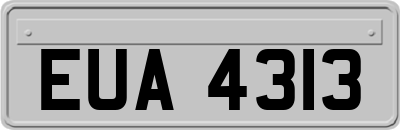 EUA4313