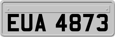 EUA4873