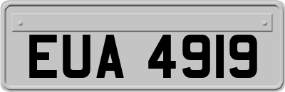 EUA4919