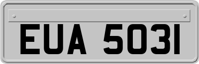 EUA5031