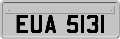 EUA5131