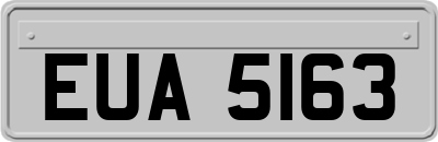 EUA5163