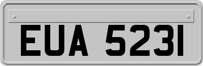 EUA5231