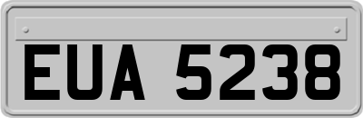 EUA5238