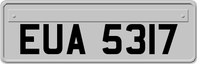 EUA5317