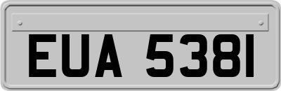 EUA5381