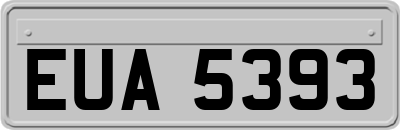 EUA5393