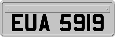EUA5919