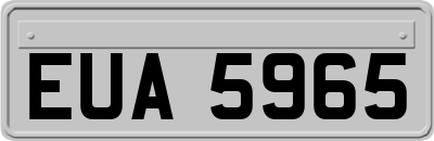 EUA5965