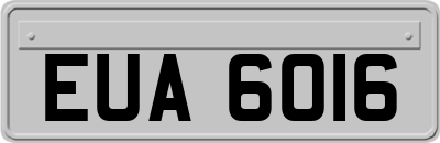 EUA6016