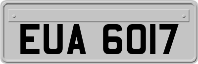 EUA6017