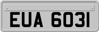 EUA6031