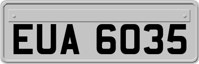 EUA6035