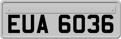 EUA6036