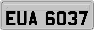 EUA6037