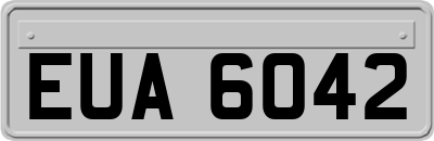 EUA6042