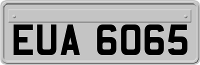 EUA6065