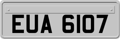 EUA6107