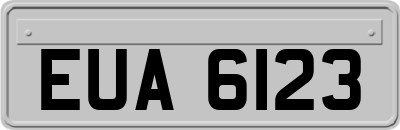 EUA6123