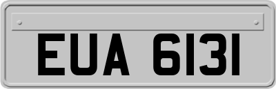 EUA6131