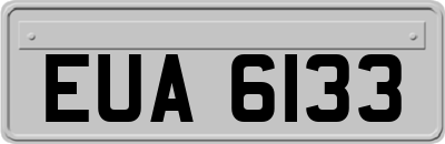 EUA6133