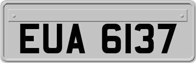 EUA6137