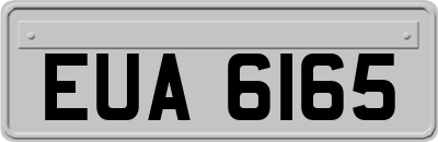EUA6165