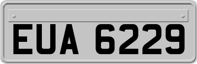EUA6229