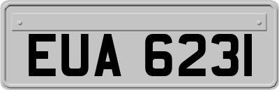 EUA6231