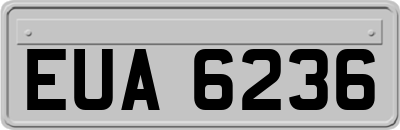 EUA6236