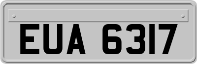 EUA6317