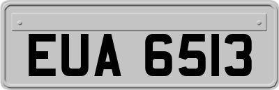 EUA6513