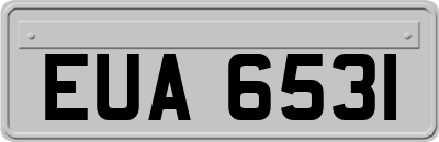 EUA6531