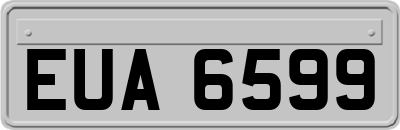EUA6599