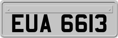 EUA6613